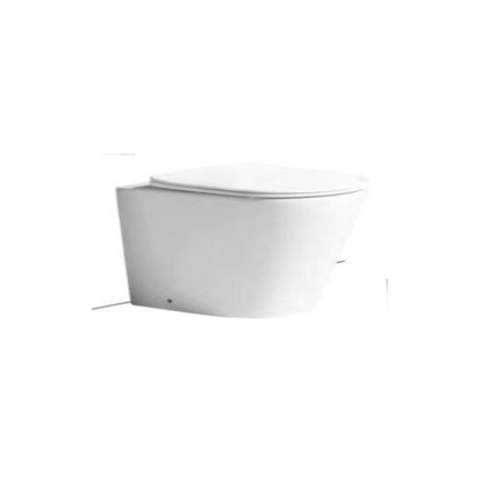 Floor Toilet